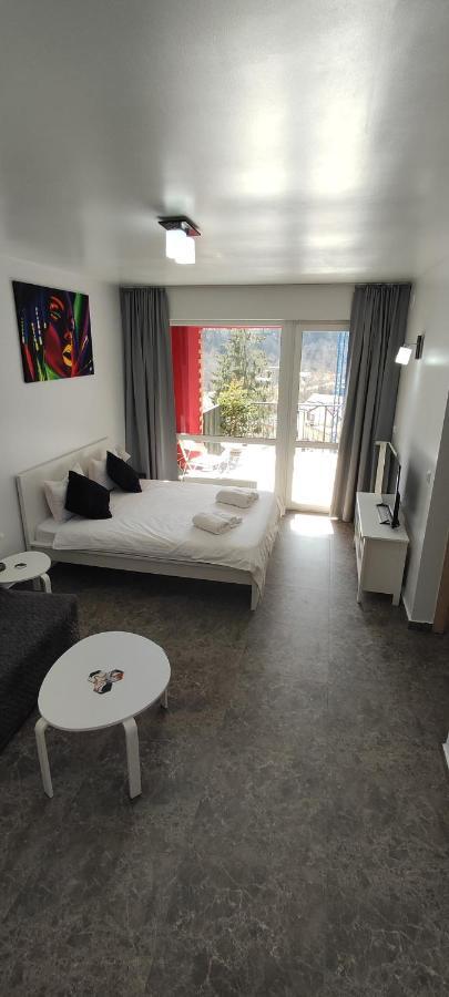Apartmán Belle View Sinaia-Free Parking Exteriér fotografie